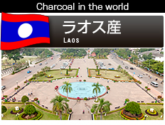 ラオス備長炭