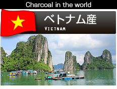 ベトナム備長炭